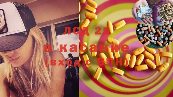 дживик Каменка