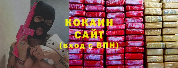 дживик Каменка