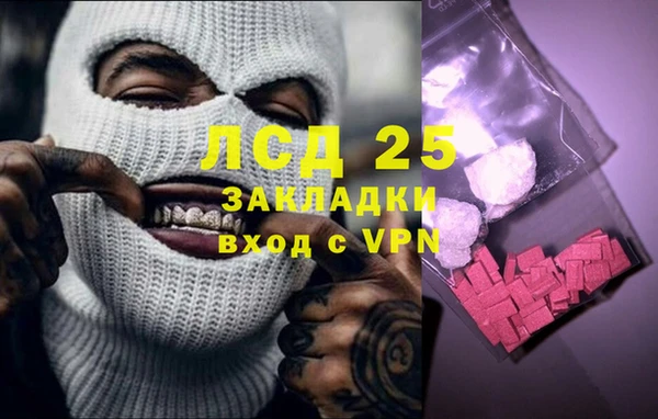 дживик Каменка