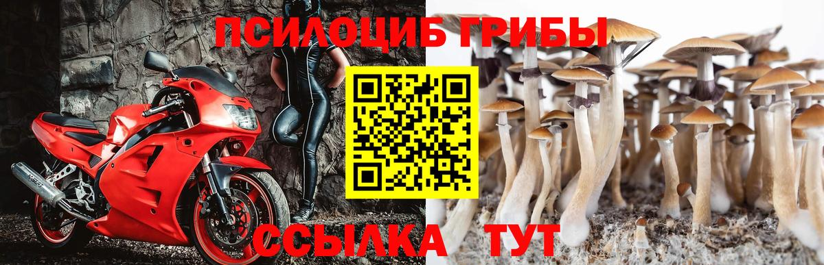 Галлюциногенные грибы прущие грибы  Галлюциногенные грибы ЛСД  Уварово  Вход с VPN 